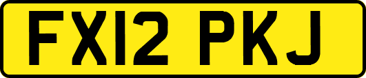 FX12PKJ