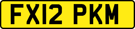 FX12PKM