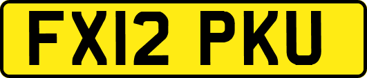 FX12PKU