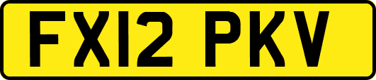 FX12PKV