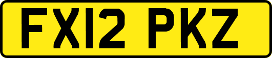 FX12PKZ