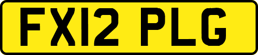 FX12PLG