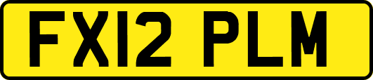 FX12PLM