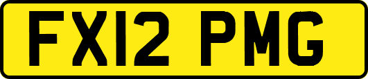FX12PMG