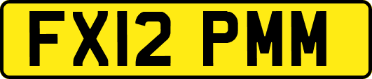 FX12PMM