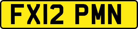FX12PMN
