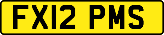 FX12PMS