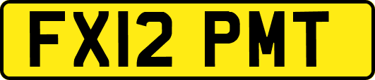 FX12PMT