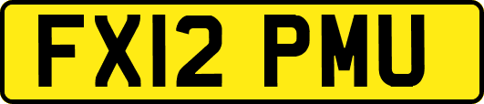 FX12PMU