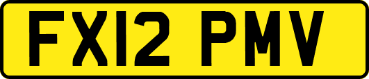 FX12PMV
