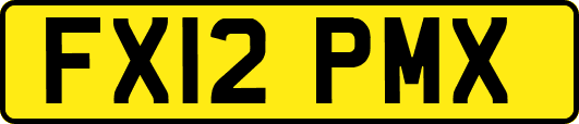 FX12PMX