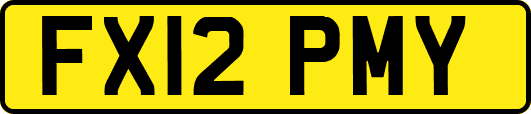 FX12PMY