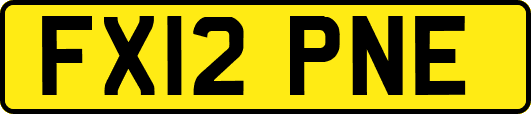 FX12PNE