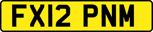 FX12PNM