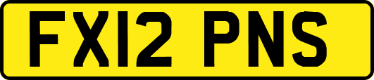 FX12PNS