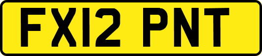 FX12PNT