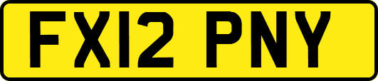 FX12PNY