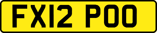 FX12POO