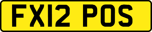FX12POS