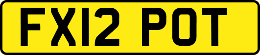 FX12POT