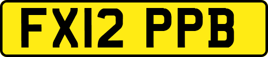 FX12PPB