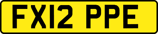 FX12PPE