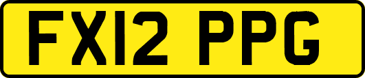 FX12PPG