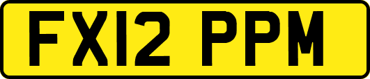 FX12PPM