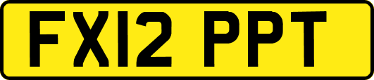 FX12PPT