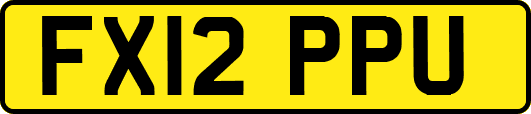 FX12PPU