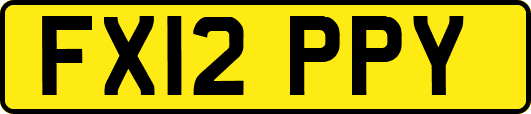 FX12PPY