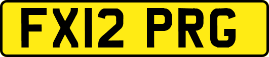 FX12PRG
