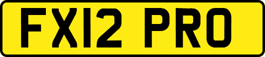 FX12PRO