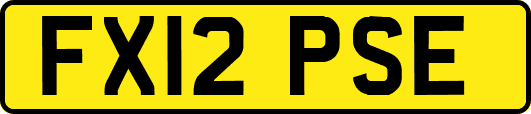 FX12PSE