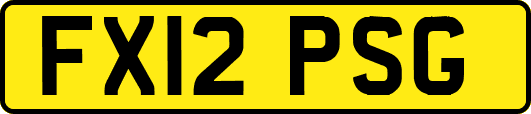 FX12PSG