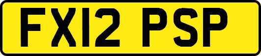 FX12PSP
