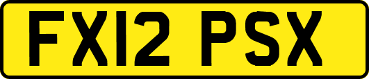 FX12PSX