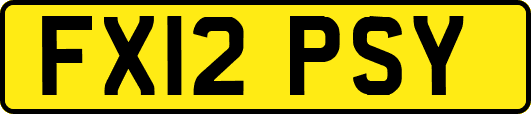 FX12PSY