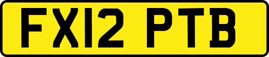 FX12PTB