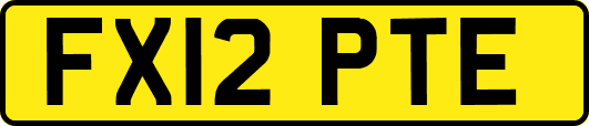 FX12PTE