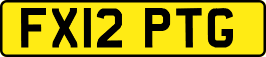 FX12PTG