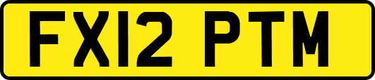 FX12PTM
