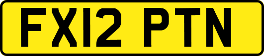 FX12PTN