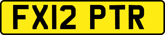 FX12PTR
