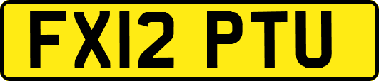 FX12PTU