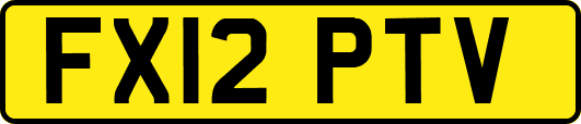 FX12PTV