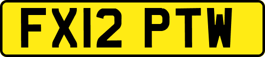 FX12PTW