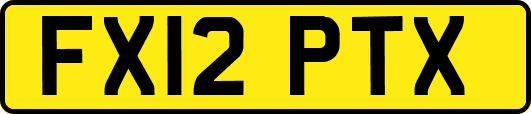 FX12PTX