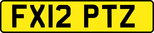 FX12PTZ