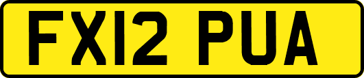 FX12PUA